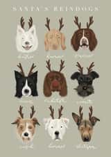 Santa's Reindogs created by Hope Olivia Illustrations