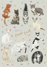 Cat Party created by Hope Olivia Illustrations