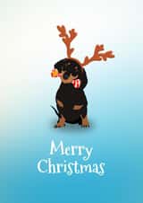 Sausage dog Christmas bone created by Artzen Island