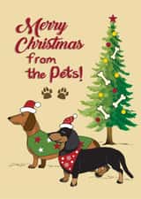 Sausage dog Christmas card created by Wicked Poppy Designs