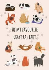 To my favourite crazy cat lady created by Pixie Paper Art