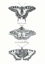 Lots Of Love On Your Birthday Butterflies & Moth Birthday Card created by Lucy Francis