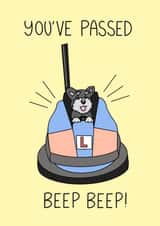 Congratulations on passing your driving test! created by Schnauzer Scribbles