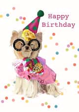 Pretty Dog Birthday created by Pretty Rich