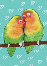 Love birds created by Becky Holman