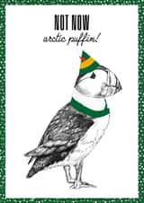Arctic Puffin created by Hairytails LTD