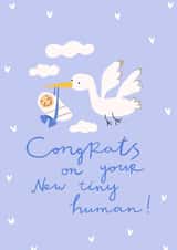 Newborn card 1001 created by Olla