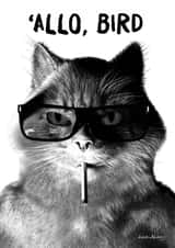 'ALLO, BIRD created by alienartifacts