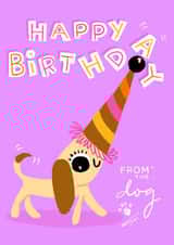 Happy Birthday from the dog, who is ready to celebrate with you. created by Paula Romani Studio