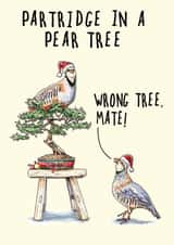 Partridge In A Pear Tree Christmas Card created by Bewilderbeest