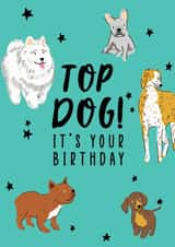 TOP DOG created by Debra Lilly