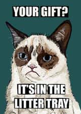 Funny Grumpy Cat Meme Birthday or Christmas Card created by Tiny Tiger