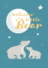 New Baby Bear Card created by X, Y & Z Design