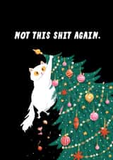Not This Again Funny Cat Christmas Card created by Jude Patla 