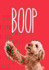 Boop Greetings Card created by The Yorkshire Pawtrait Co.