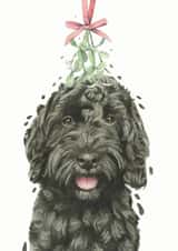Cockapoo Under the Mistletoe - Mistletoe - Cute - From The Dog - Christmas Card - Dog Parents - Puppy Love - Christmas Card created by Robert James Hull