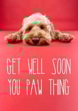 Get Well Soon Cockapoo Card 1001 created by The Yorkshire Pawtrait Co.