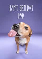 Happy Birthday Dad From The Dog created by The Yorkshire Pawtrait Co.