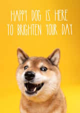 Happy Dog Send A Smile Card created by The Yorkshire Pawtrait Co.