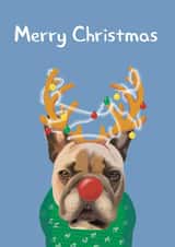 Merry Christmas Monty Card created by Yamaste Art