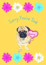 Adorable Pug Get Well Card: created by Darren Kruzan