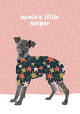 Italian Greyhound Iggy Christmas card created by boroughcollective
