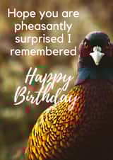 Happy Birthday - Hope you are pheasantly surprised I remembered! created by Linen & Lace