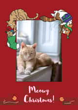Personalised Christmas Photo Card created by Kat Willott - Cute Christmas Card - From The Cat - Illustrations