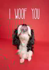 I Woof You Dog Card created by The Yorkshire Pawtrait Co.