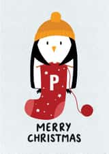 Merry Christmas Cute Knitting Penguin created by Lucy Bedford Designs