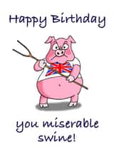 Miserable pig birthday card  created by Winnie the Pig 
