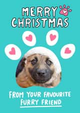 Personalised Christmas Photo Card created by Angela Chick - Furry friend christmas photocard