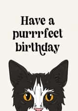 Purrrfect Birthday Card created by Penny and Me