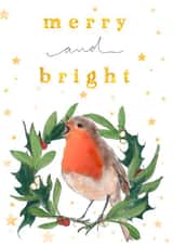 Merry and Bright Christmas Robin created by Pascale Dilger