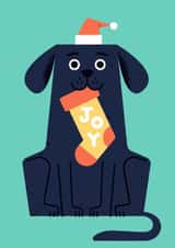 Christmas dog is ready for Santa created by Chris Wharton