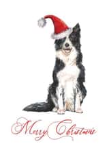 Border Collie Dog Merry Christmas Cute Card created by Fauna and Flo Creative