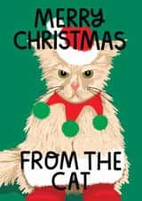 Merry Christmas from the Cat created by Sweary Cats by Leaf Lane Studio