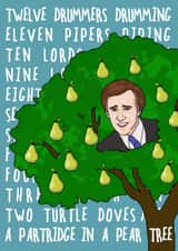 12 Days of Christmas - A Partridge in a Pear Tree created by Jonjo Kincaid