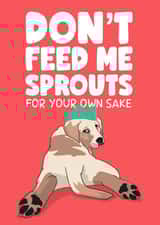 Don’t feed me sprouts created by Daniella Illustrates