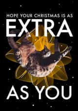 Extra Christmas cat card created by andyclayotbay