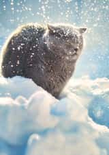 Let it snow! 1000 created by Alina Shevelina