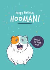 Funny Guinea Pig Birthday Card created by Goofy Guineas