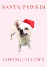 Santa paws is coming to town chihuahua created by Katie McCormick