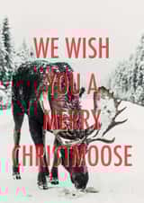 Christmoose pun Christmas card created by Number 27 Design