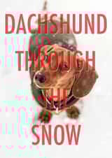 Dachshund through the snow created by Number 27 Design