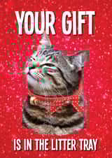 Your Christmas Gift is in the Cat Litter Tray created by kissmekwik