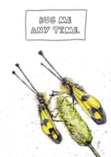 Bug Me Valentines Card created by JOKstudios