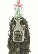 Cocker Spaniel Christmas Card created by Robert James Hull