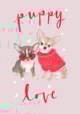 Chihuahua Valentines Day Card Cute Puppy Love Dog Illustration created by Honey & Velvet Studio