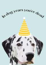 funny dog birthday card 1001 created by Shadan Designs